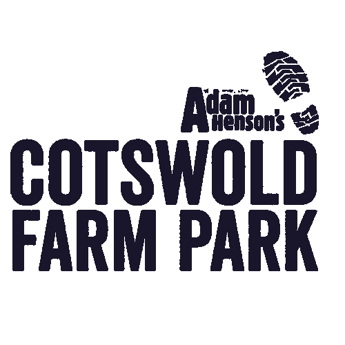 CFP logo